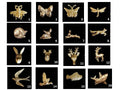 Brass Animal Cabinet Knobs – Decorative Drawer Pulls